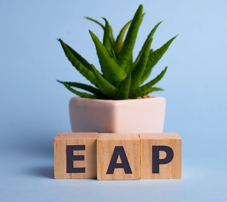 planta en maceta con las letras EAP